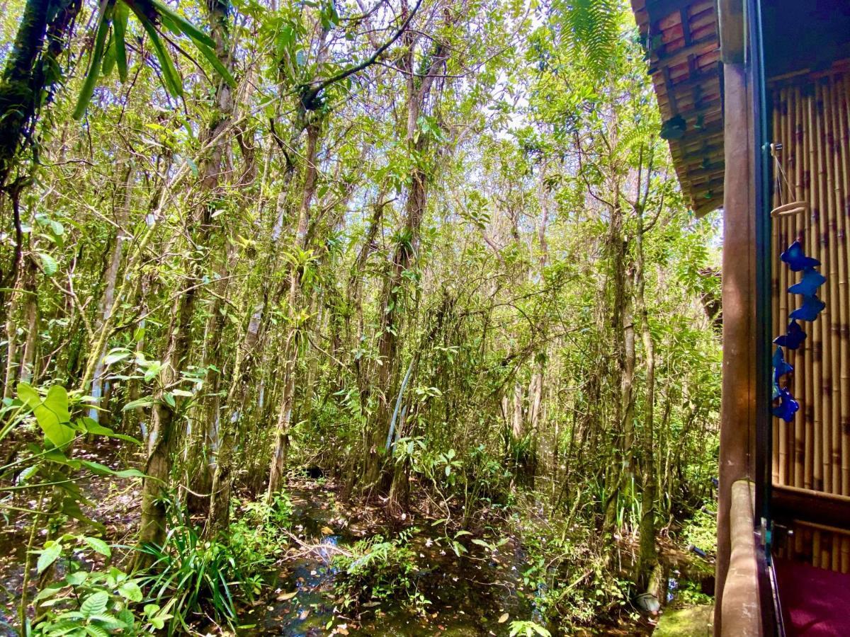 Maresias, Chale H29 Em Condominio De Frente A Entrada 18 Da Praia E Dentro Da Mata Atlantica Sao Sebastiao  Eksteriør bilde